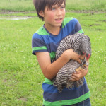 Trip to the Farm, Saturday, June 14