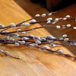 Holy Week 2015, Palm Sunday